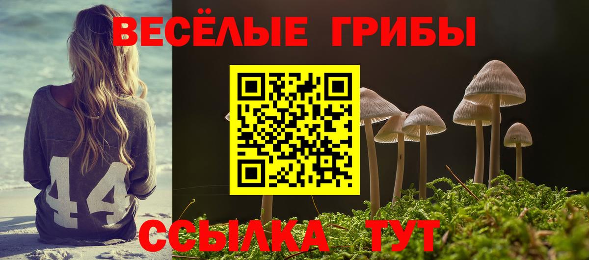 Первоуральск  Псилоцибиновые грибы Cubensis  Вход с VPN 